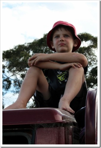 Day 62 - My Little Man on Australia Day