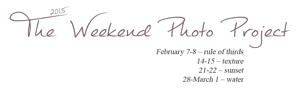 The Weekend Photo Project: Februaryt promts