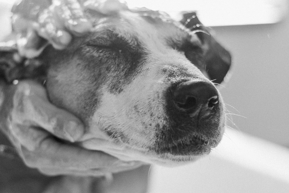 having her face washed
