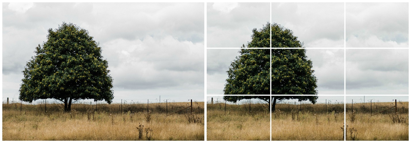 5 Easy Composition Rules To Improve Your Photography 1 Rule Of Thirds